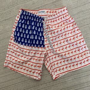 Maamgic Swim Trunks Men Small Flag Print Shorts Lined Flamingo Pineapple Pull-On